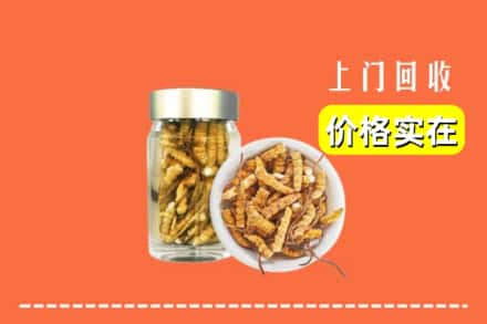 信阳光山县回收散虫草