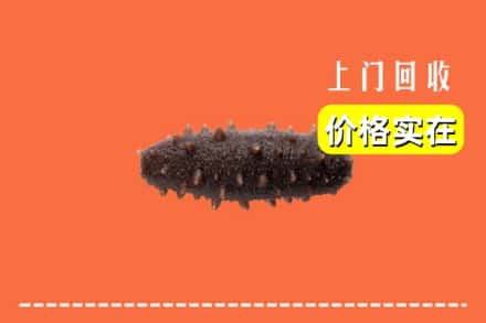信阳光山县回收海参