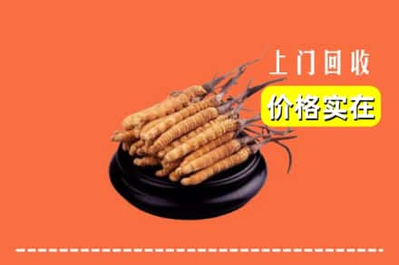 信阳光山县回收冬虫夏草