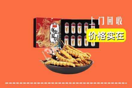信阳光山县回收虫草